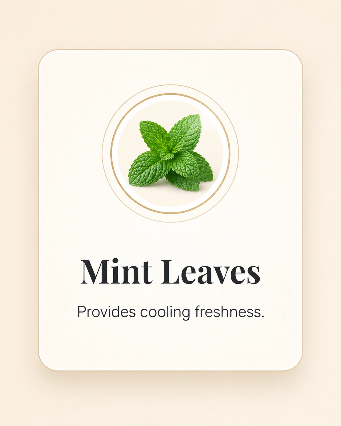 Mint Leaves
